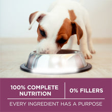 Puppy at stainless food bowl with 100% complete nutrition and 0% fillers banner