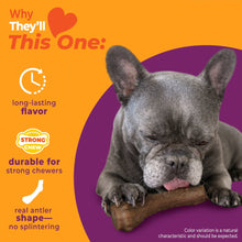 Real-antler-shaped dog chew toy held in a gray French bulldog’s mouth