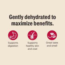 Gently dehydrated dog food benefits graphic with digestion, skin, and taste icons
