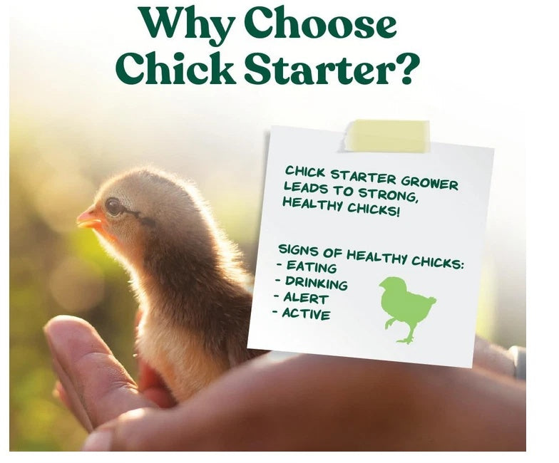 Manna Pro Medicated Chick Starter Grower Feed 5 lb Bag