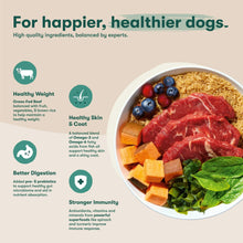 Dry dog food ingredient bowl graphic with red meat, grains, and leafy greens.