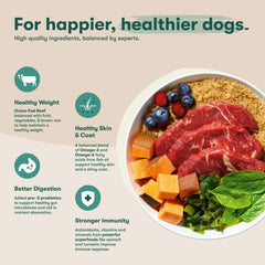 Jinx Beef Brown Rice & Sweet Potato Dry Dog Food 4lb Bag