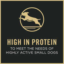 Dog food label with dog icon and text: high in protein to meet needs of active small dogs