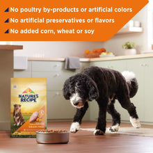 Grain-free chicken dog food bag with bowl and small black curly-haired dog on floor
