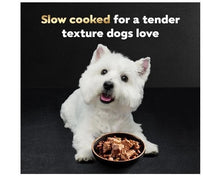Cesar wet dog food bowl with steak-style wet texture beside white dog