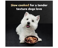 Cesar Wet Dog Food Steak Lovers Variety Pack, Adult, Wet Food 3.5 oz 36 count