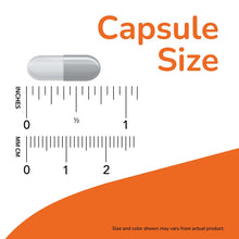 Capsule size chart with small white-gray capsule and measurement lines