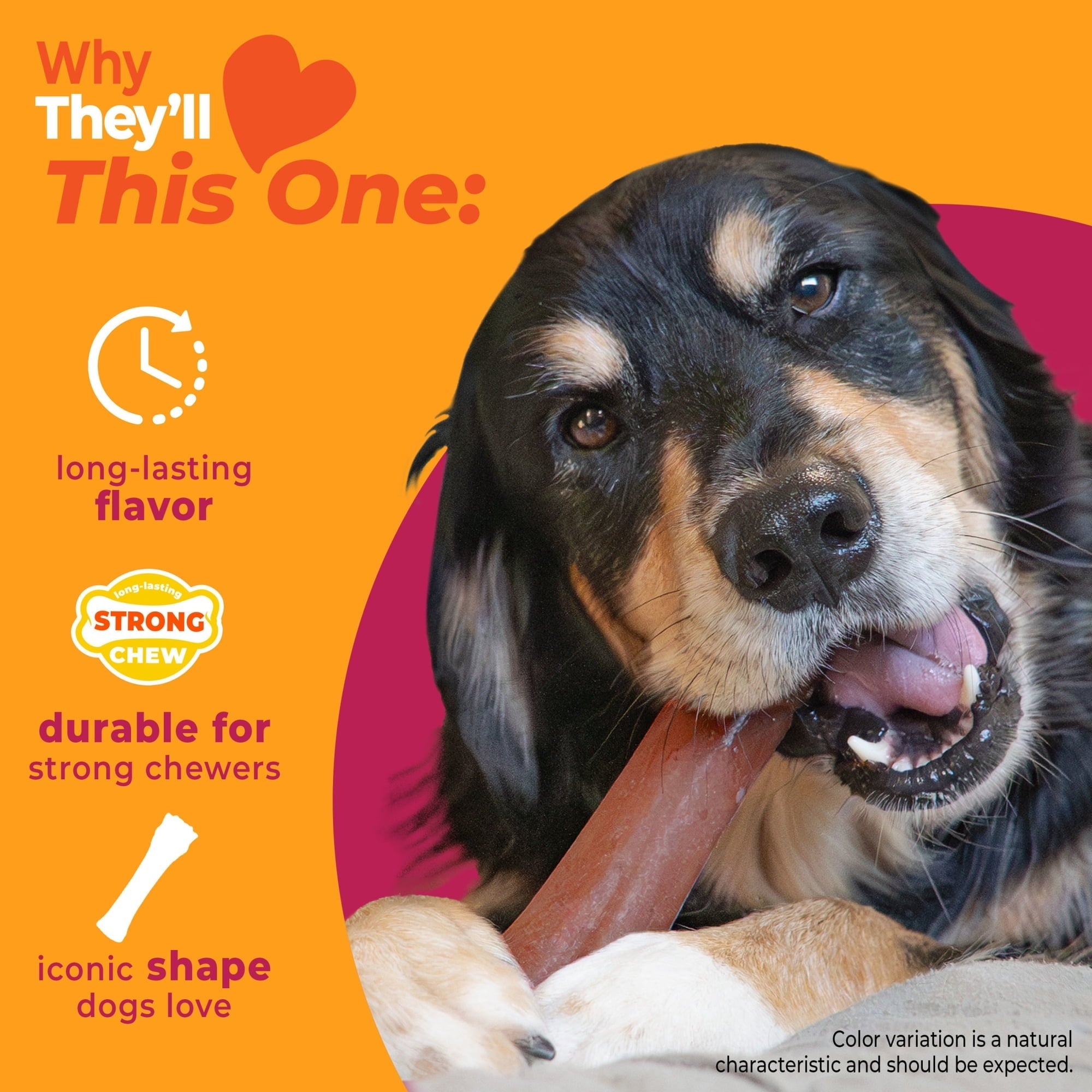 Nylabone Strong Chew Antler Dog Toy, Dog Chew Toy, Made with Real Venison Flavor, Medium, 1 Count