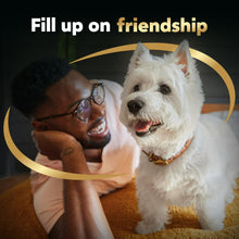 Cesar wet dog food ad with white dog and person