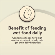 Wet food daily feeding benefit graphic with droplet icon and hydration message