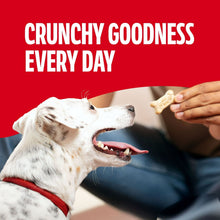 Small dog biscuit crunch treats with dog licking a bone offered by hand