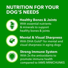 Mature adult dog nutrition panel: bones & joints, mental sharpness, immune system