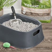 Natural paper pellet cat litter in litter box with scoop and unscented bag