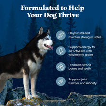 Dry dog food wellness graphic with a husky and icons for muscles, bones, and mobility