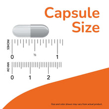 Colostrum capsule size illustration with ruler markings for capsule length