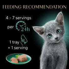 Sheba kitten feeding recommendation graphic with tray icon and serving guidance