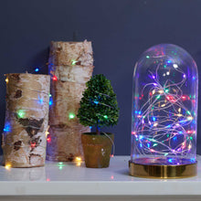 Multicolor LED wire lights with glowing bulbs and thin wire, indoor display