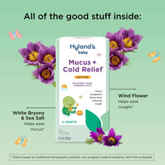 Hyland's Baby Mucus + Cold Relief, Daytime, Ages 6+ Months, 4 fl oz
