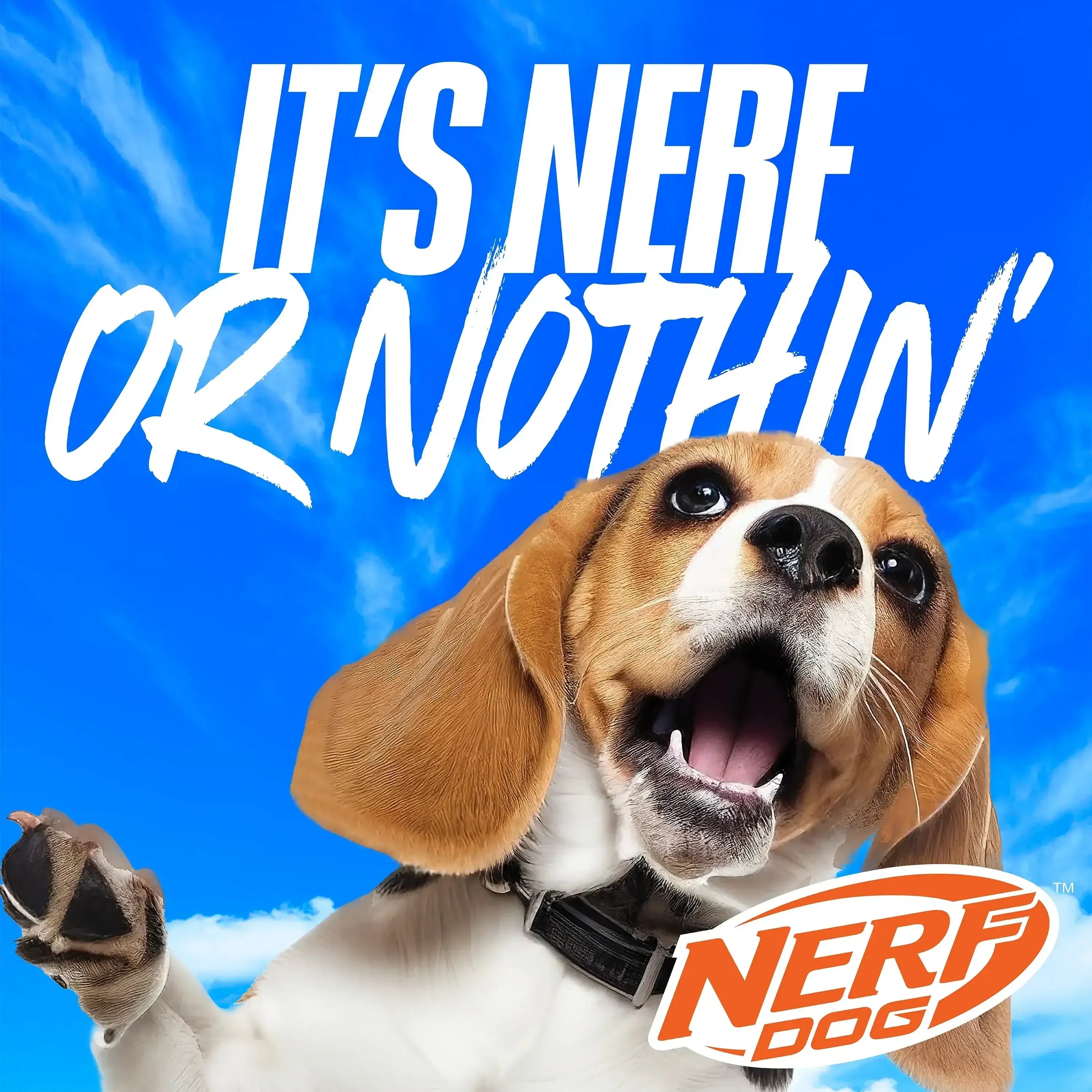 Nerf Dog X-Weave Squeak Soccer Ball for Large Dogs - USA MEGA SHOP