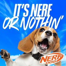 Nerf Dog X-Weave squeak soccer ball with logo patch, held by dog.