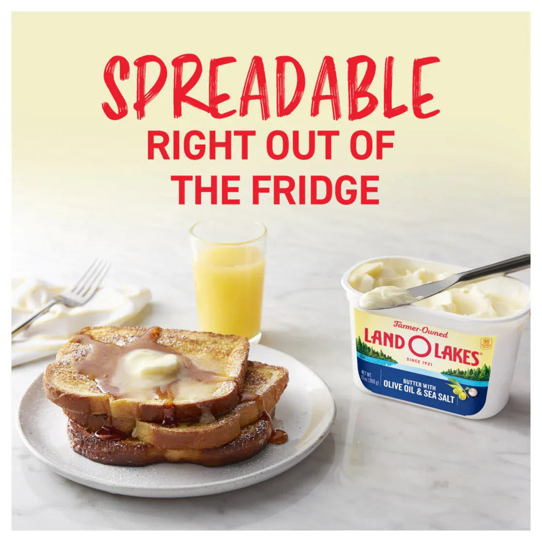 Land O Lakes Butter with Olive Oil & Sea Salt, Spreadable, 13 oz Tub - USA MEGA SHOP
