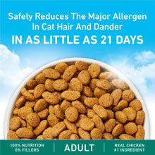 Adult dry cat food kibble in a white bowl