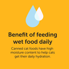 Wet cat food daily feeding benefit graphic with droplet icon.