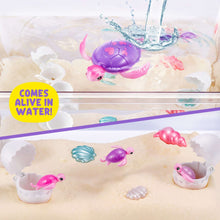 Purple turtle toy and baby turtles in clear tank with water splash effect
