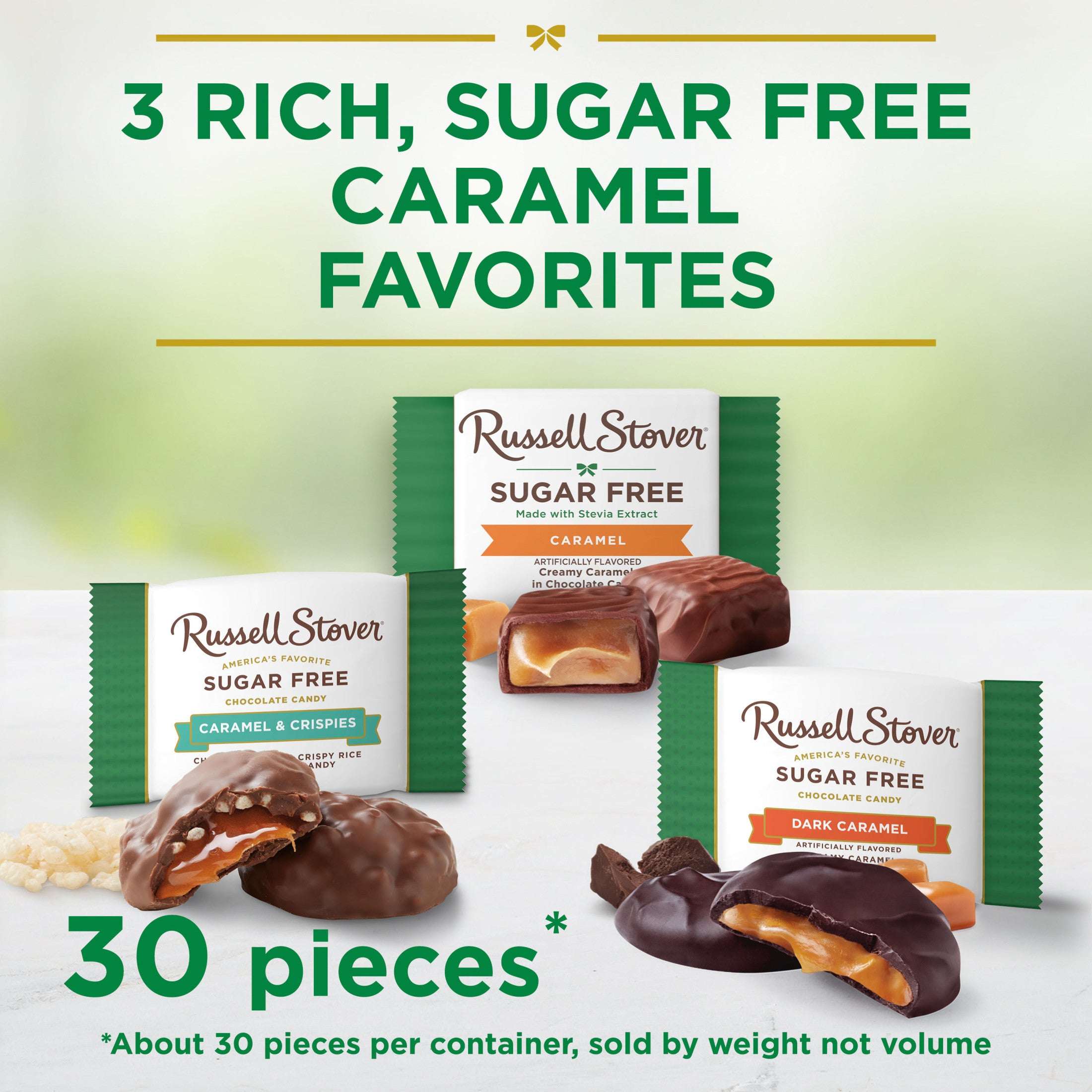 RUSSELL STOVER Sugar Free Assorted Caramels in Chocolate Candy, 15.3 oz. bag