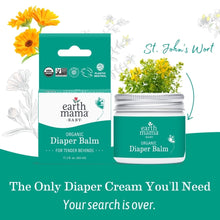 Earth Mama organic diaper balm 2-pack with St. John’s Wort herb imagery, box and jar
