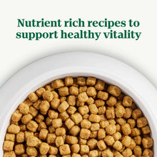 Bowl filled with dry dog food kibble