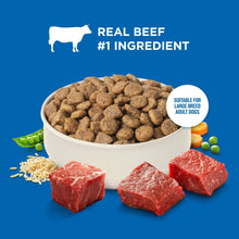 Dry dog food bowl with brown kibble, real beef cubes, peas and carrots