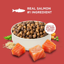 Dry dog food kibble in a bowl with salmon pieces and a real salmon #1 ingredient badge