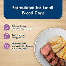 Wet dog food portion on a plate with nutrition highlight callouts