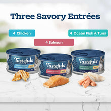 Three wet cat food pâté cans with chicken, salmon, and ocean fish & tuna.