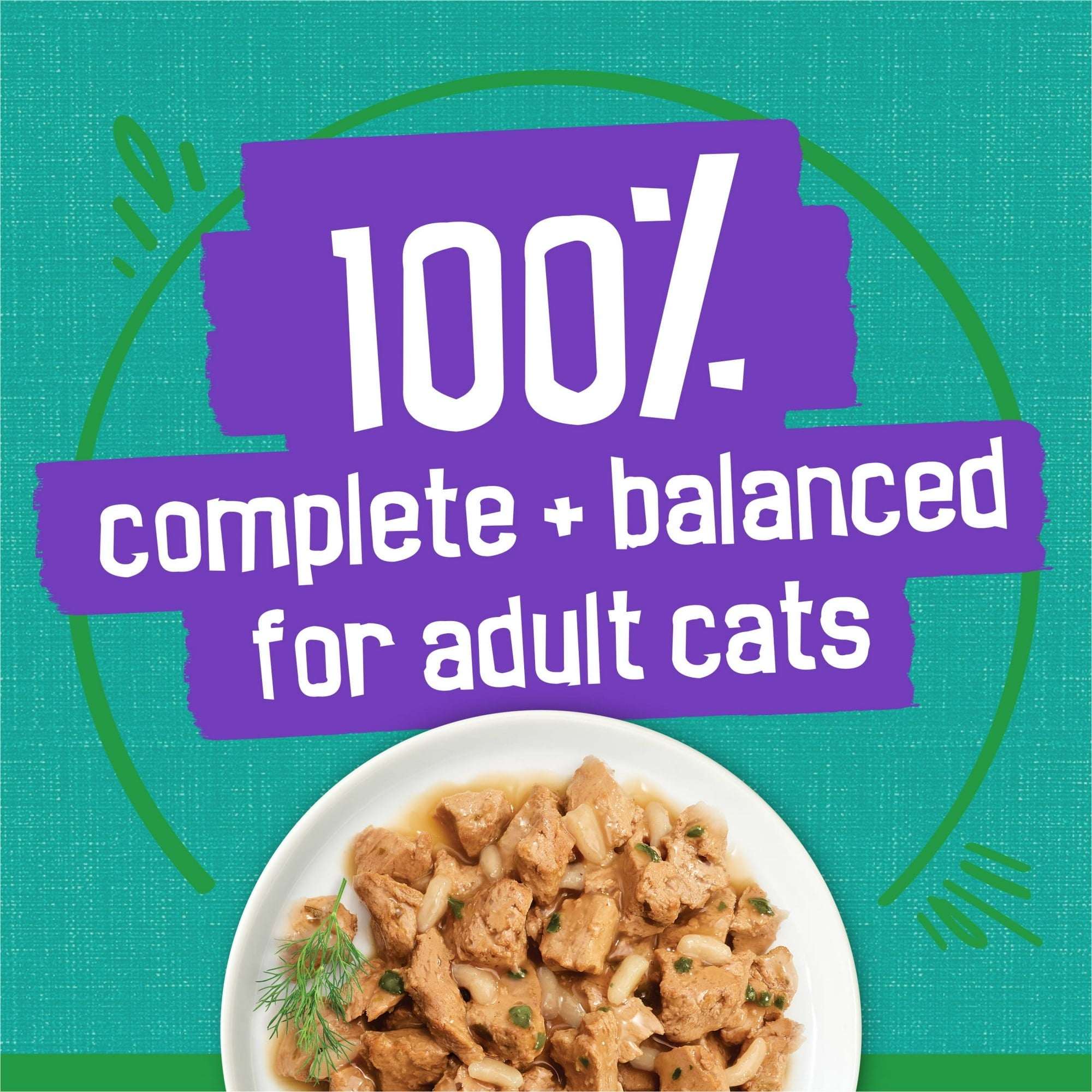(24 pack) Purina Friskies Indoor, Saucy Seafood Bake, Wet Cat Food, 5.5 oz Can