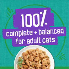 Wet cat food label with 100% complete balanced claim for adult cats and bowl