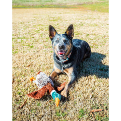 (3 pack) Vibrant Life Plush Duck Dog Toy with Honker