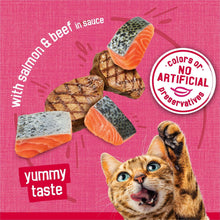 Wet cat food prime fillets with salmon and beef in sauce, no colors or preservatives