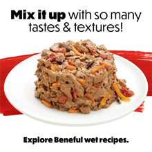 Wet dog food recipe mix on white plate