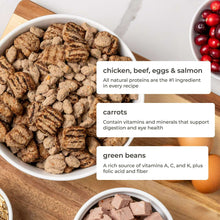 Bowls of dog kibble with info labels for chicken, beef, eggs and salmon plus veggies
