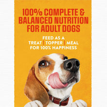 Purina Rise & Shine pouch panel for adult dogs, feed as treat, topper or meal