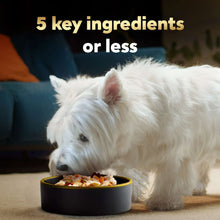 Westie dog eating from a bowl of chicken and veggies dog food topper