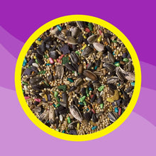 Cockatiel bird food mix in circular window, seeds and pellets