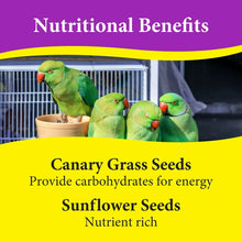 Green parrots perched near a food bowl inside a cage