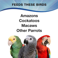 Parrot food label panel listing birds: Amazons, Cockatoos, Macaws, and other parrots