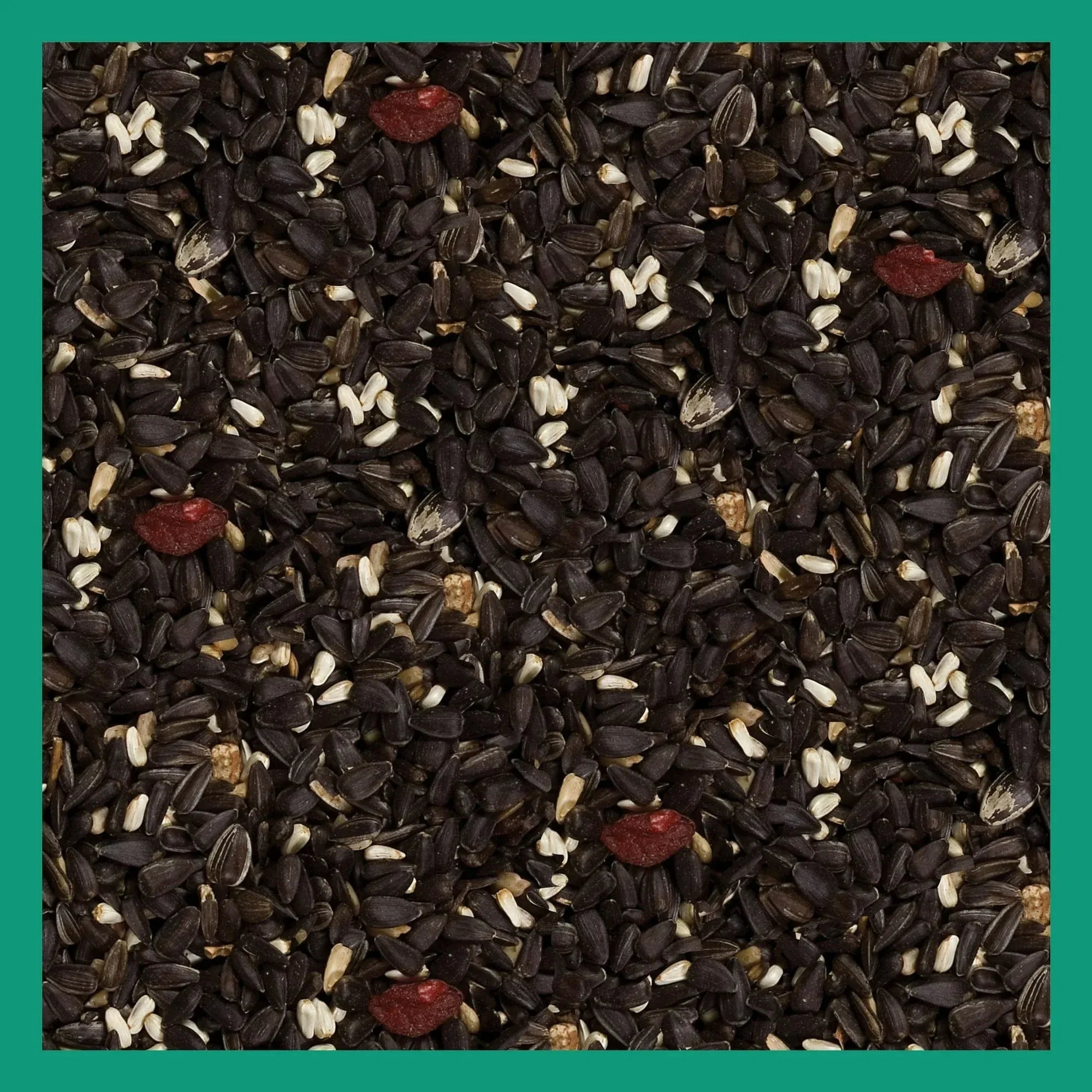 3-D Pro Blends Songbird Blend Wild Bird Food, Wild Bird Seeds, 5 Pounds