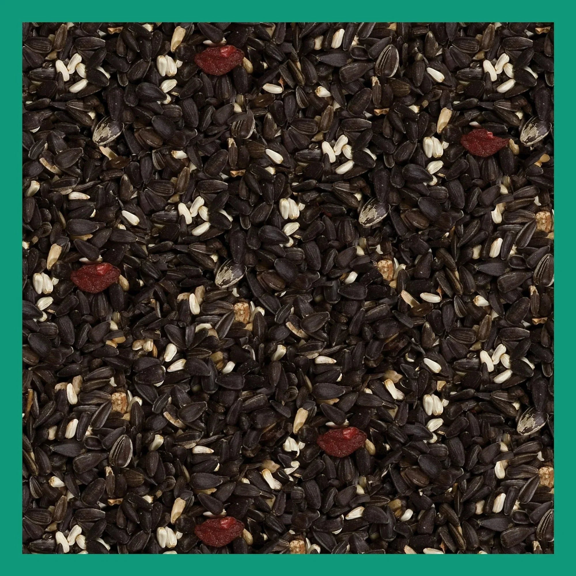 3-D Pro Blends Songbird Blend Wild Bird Food, Wild Bird Seeds, 5 Pounds - USA MEGA SHOP