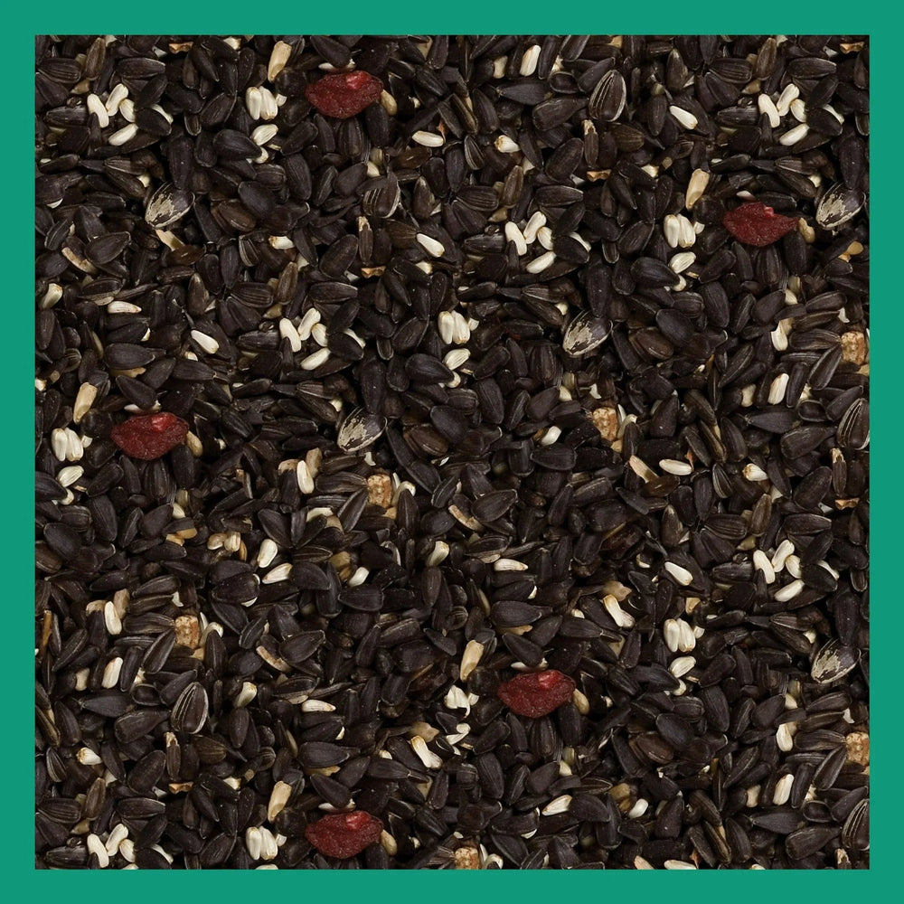 3-D Pro Blends Songbird Blend Wild Bird Food, Wild Bird Seeds, 5 Pounds - USA MEGA SHOP