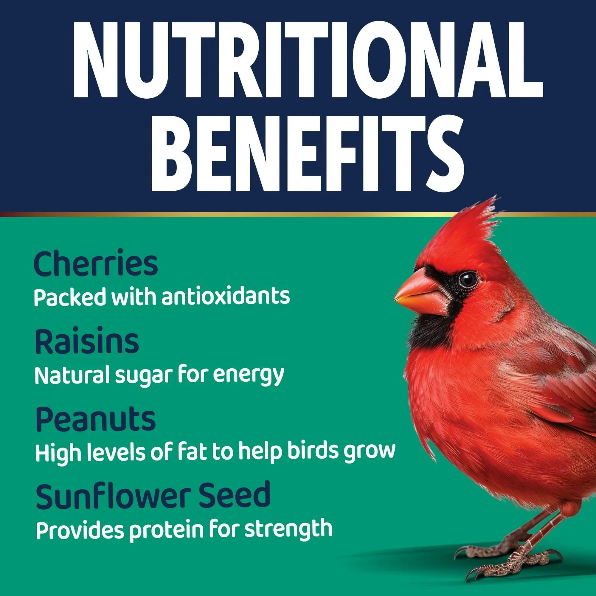 3-D Pro Blends Songbird Blend Wild Bird Food, Wild Bird Seeds, 5 Pounds - USA MEGA SHOP